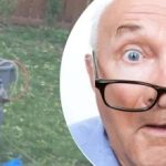 A furcsa lelet a fa mellett értetlenül hagyta a szomszédot: vajon milyen titkot rejteget? A furcsa lelet a fa mellett értetlenül hagyta a szomszédot: